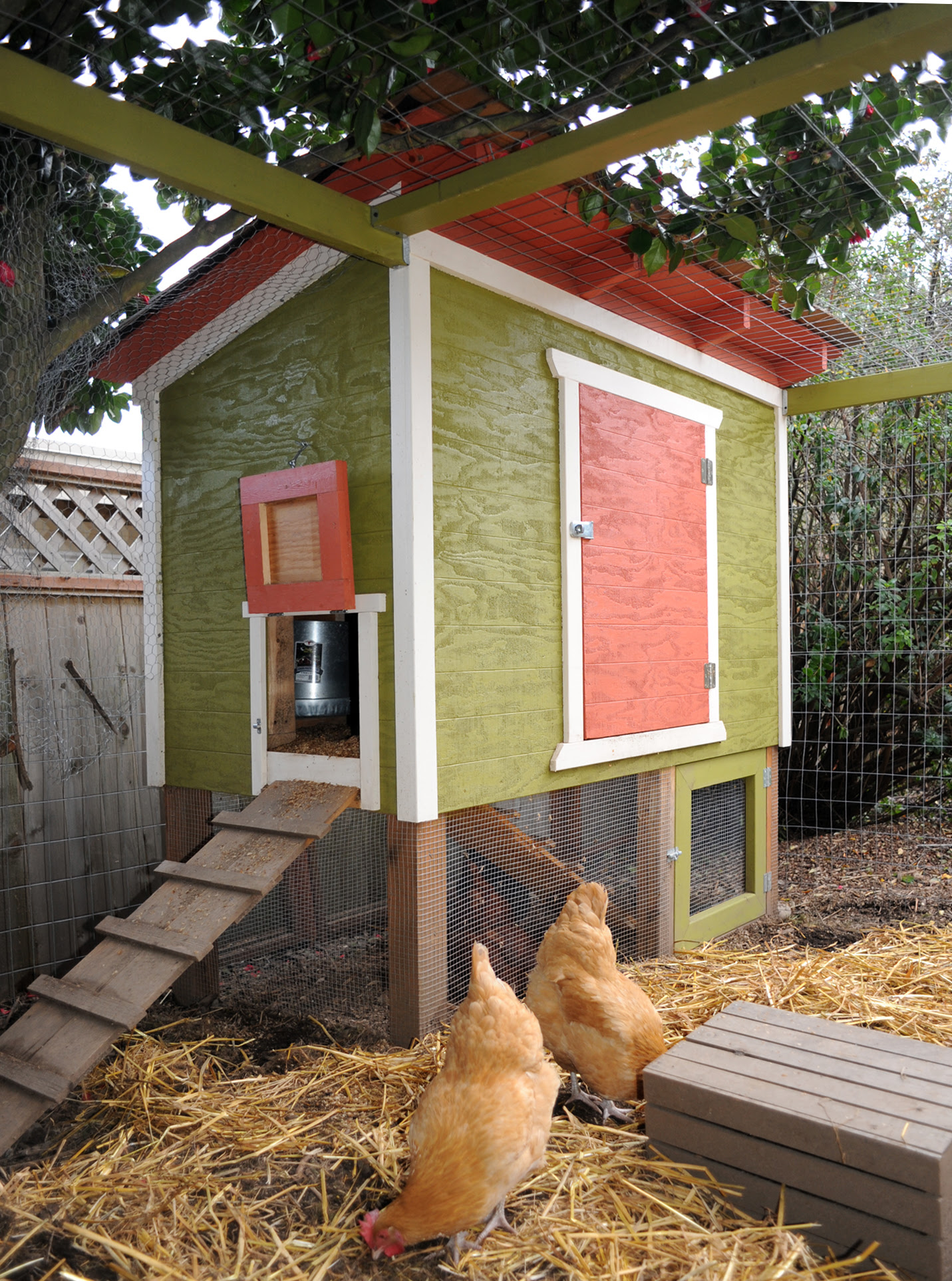 guide-old-fashioned-chicken-coop-plans-hen-ternak