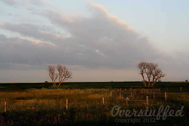 South Dakota Sunset No hunting web