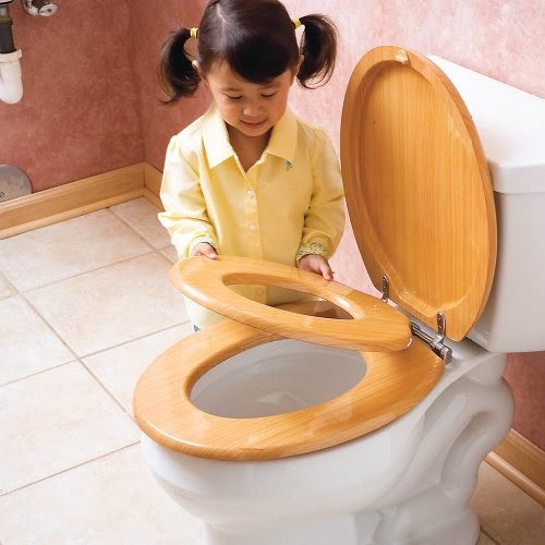 Potties & Seats: TrendyKid Wooden Family Toilet Seat White