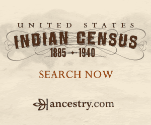 Indian Census Collection