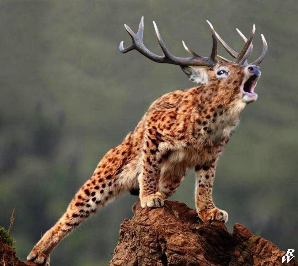 21 Animal Hybrids That Are Horrifyingly Hilarious - Today news