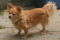 Rusty