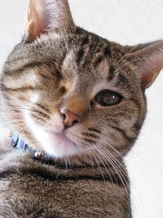 Maggie's new portrait