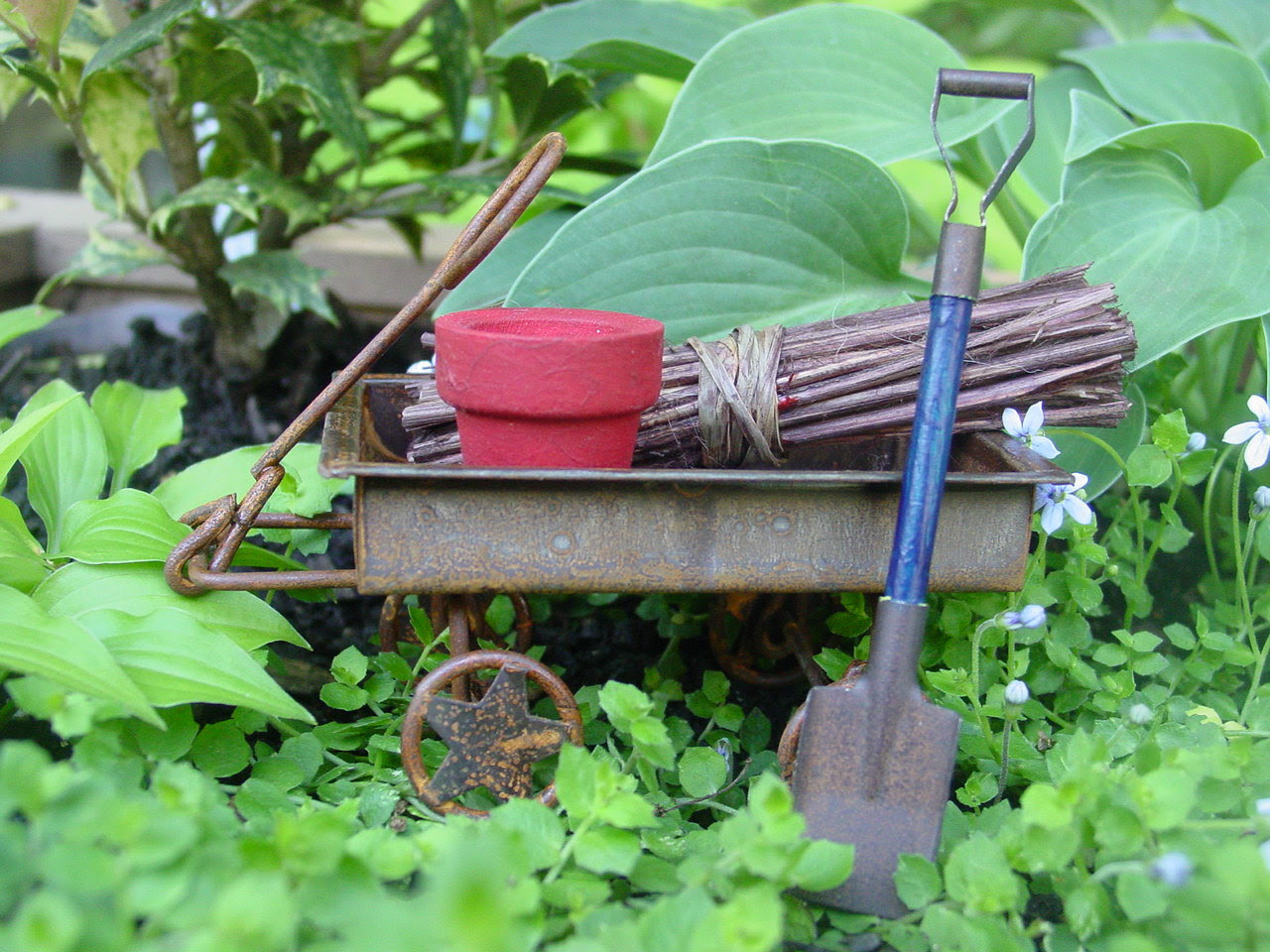 Miniature Gardens Ideas Homsgarden