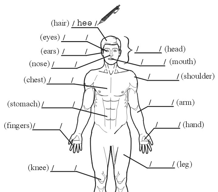 Body Parts Name In Tamil And English / Best english to tamil dictionary
