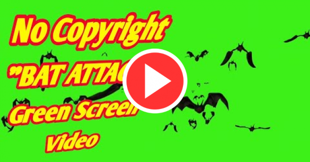 Bat Attack Green Color Background || Green Screen Color Effect Background