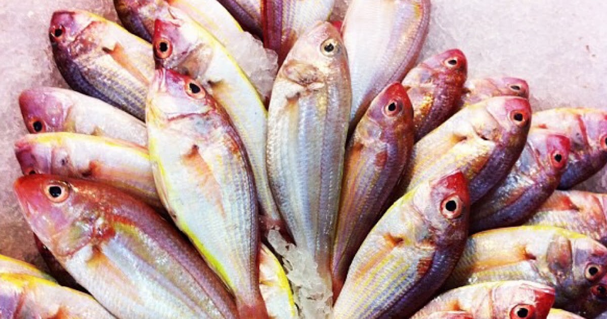 Siakap Fish In English : Ikan Siakap Masak 3 Rasa | Resep masakan