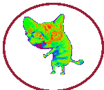 dancing cat