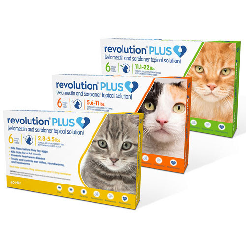 Cat Ear Mite Treatment Revolution toxoplasmosis