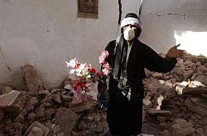 rose-in-a-rubble