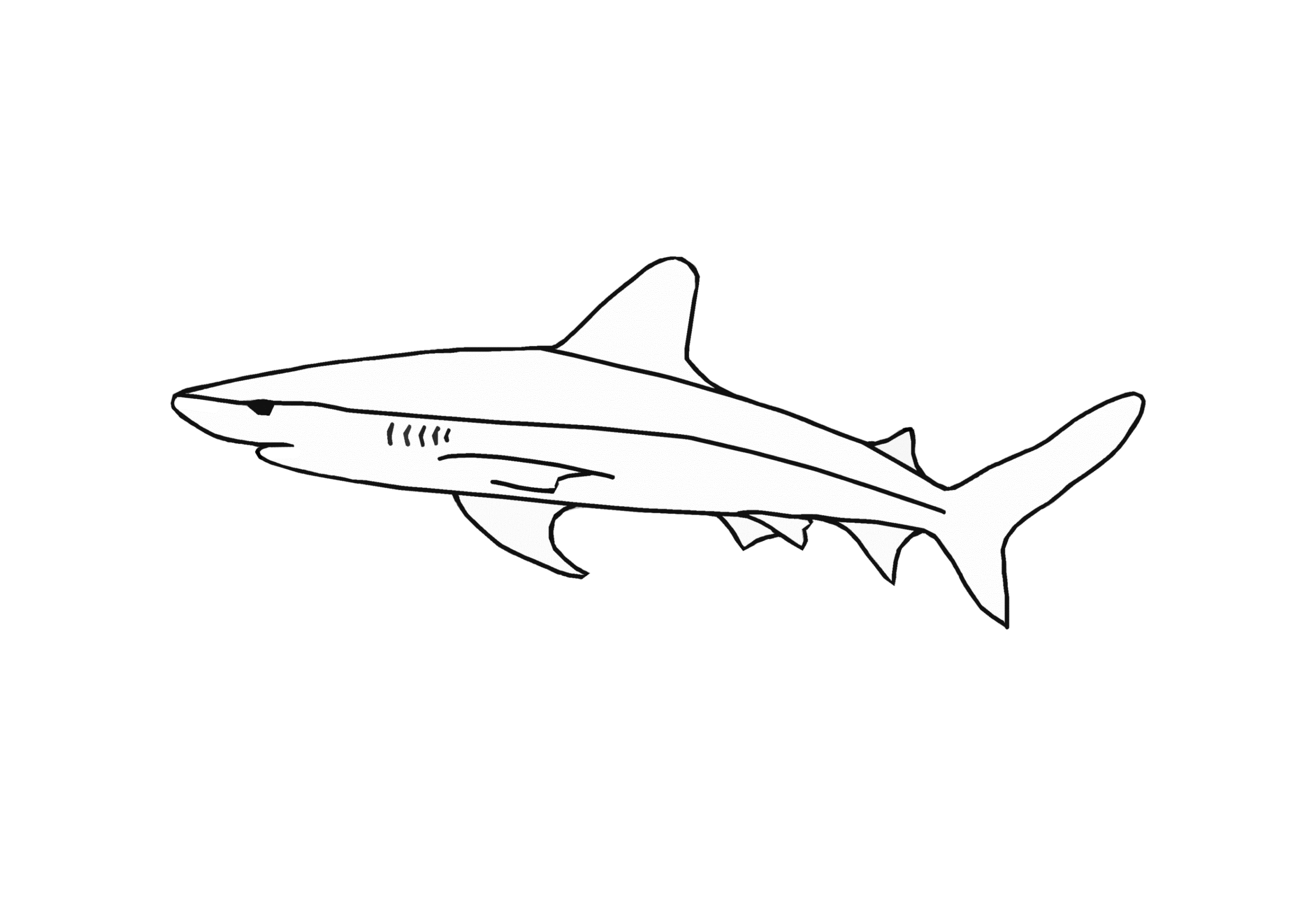 Malvorlage fisch katzenhai information