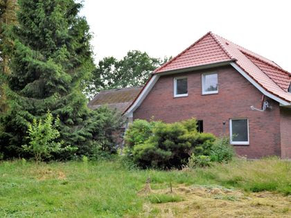 Immobilien Kaufen Cloppenburg Tsisana Tumanishvili