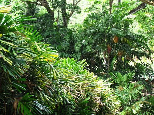 Allerton Garden