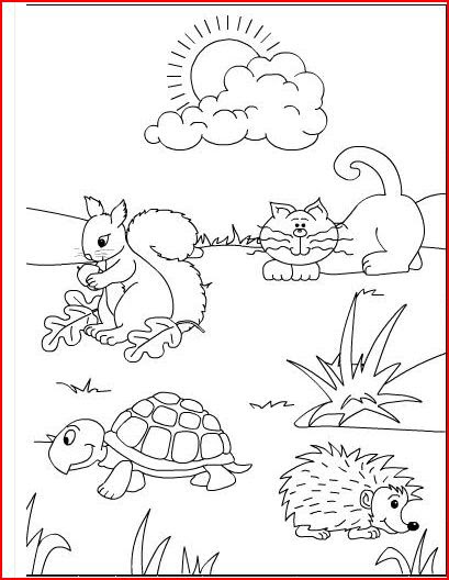 Disegni Animali In Letargo Da Colorare Coloratutto Website