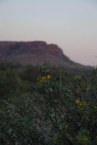 Free Image Hosting at www.ImageShack.us