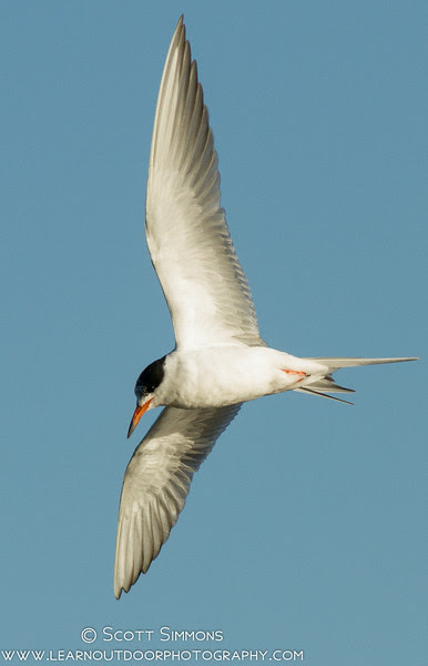 Photo & Video Sharing by SmugMug Photo & Video Sharing by SmugMug