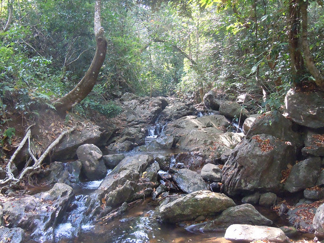 Brahmagiri_Trek_Stream1