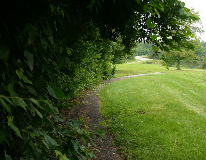 Fairfield_005