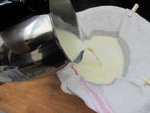 soyabella guide laits vegetaux yaourts soja yaourt lait soja soyabella