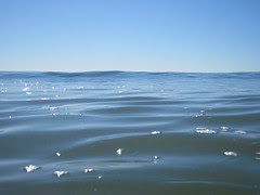 pacific_2423 web