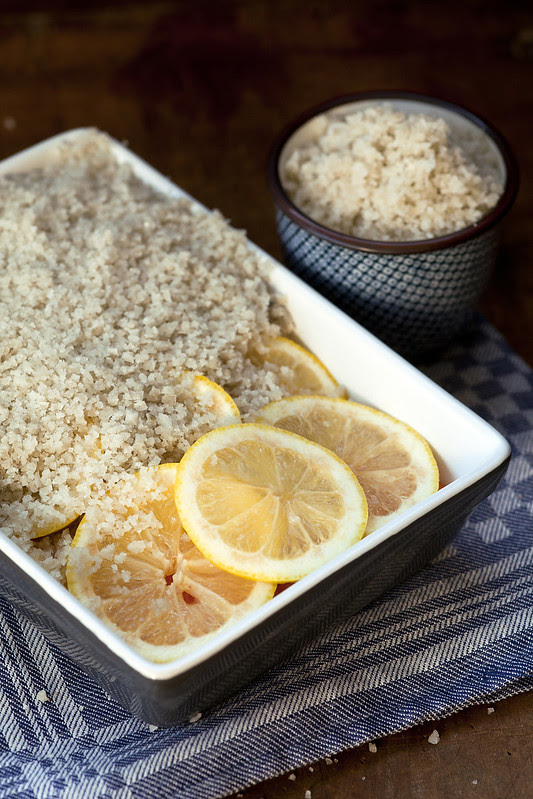 salmon in salt