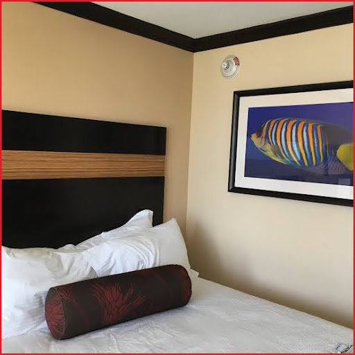 Golf Resort «Grand Palms Hotel, Spa and Golf Resort», reviews and photos, 110 Grand Palms Dr, Pembroke Pines, FL 33027, USA