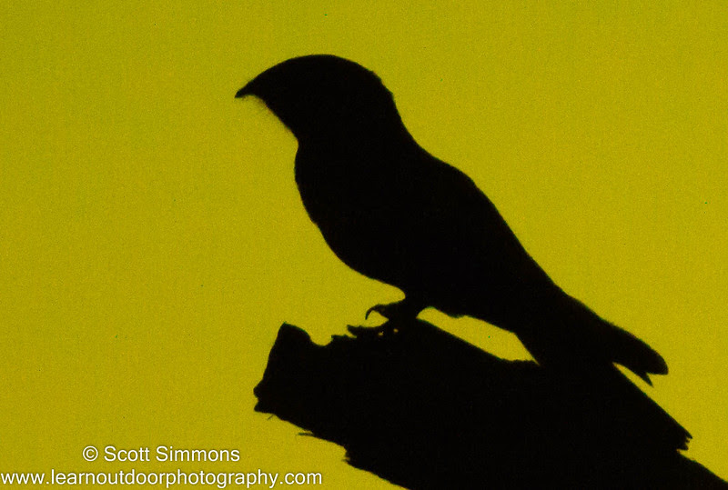 Photo & Video Sharing by SmugMug Photo & Video Sharing by SmugMug
