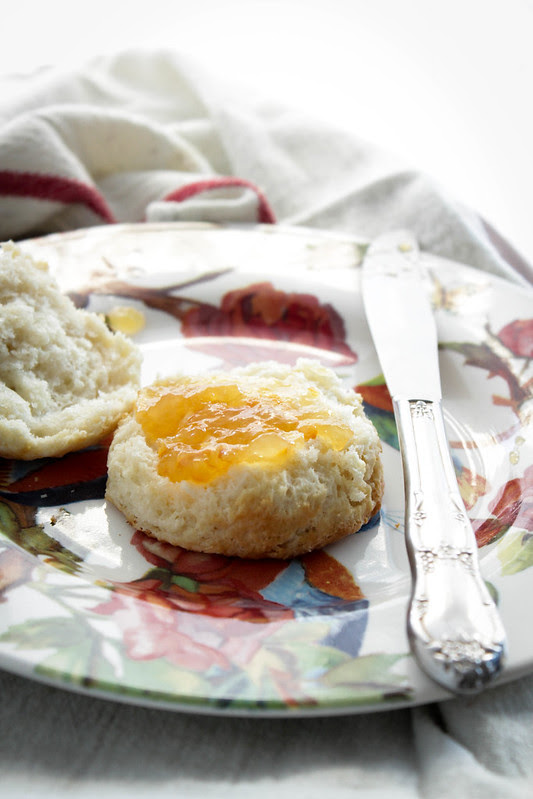 THE VERY BEST AMERICAN BISCUITS