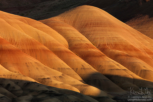 Shadow on Painted Hills, John Day Fossil Beds National Monument, Oregon