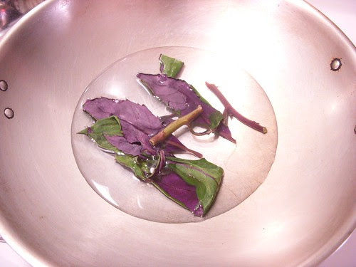 DSCN3267.JPG