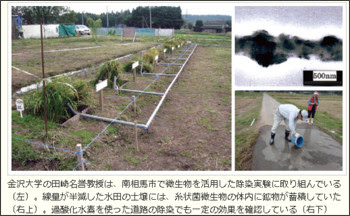 http://eco.nikkeibp.co.jp/article/report/20111209/110252/?P=1