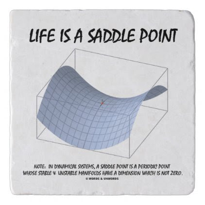 Life Is A Saddle Point Math & Geometry Humor Trivet