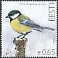 Great Tit Parus major Great Tit Parus major