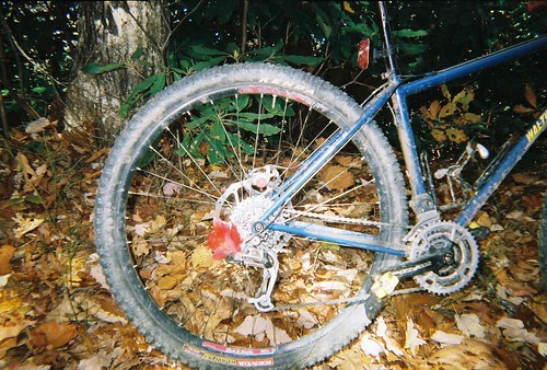 Leaf in Derailleur