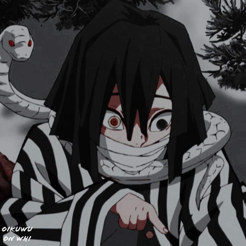Demon Slayer Wiki Obanai - Manga