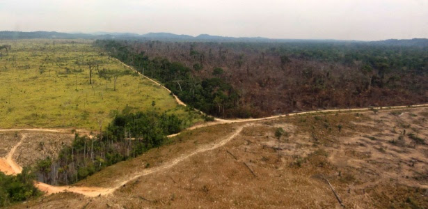Em setembro de 2013, o Instituto Imazon detectou um aumento de 100% do desmatamento da Amazônia