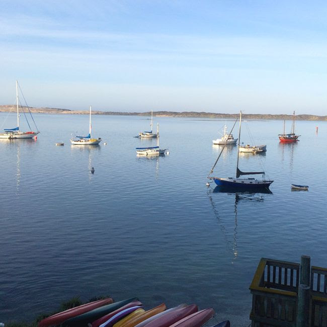 Morro Bay Boats
