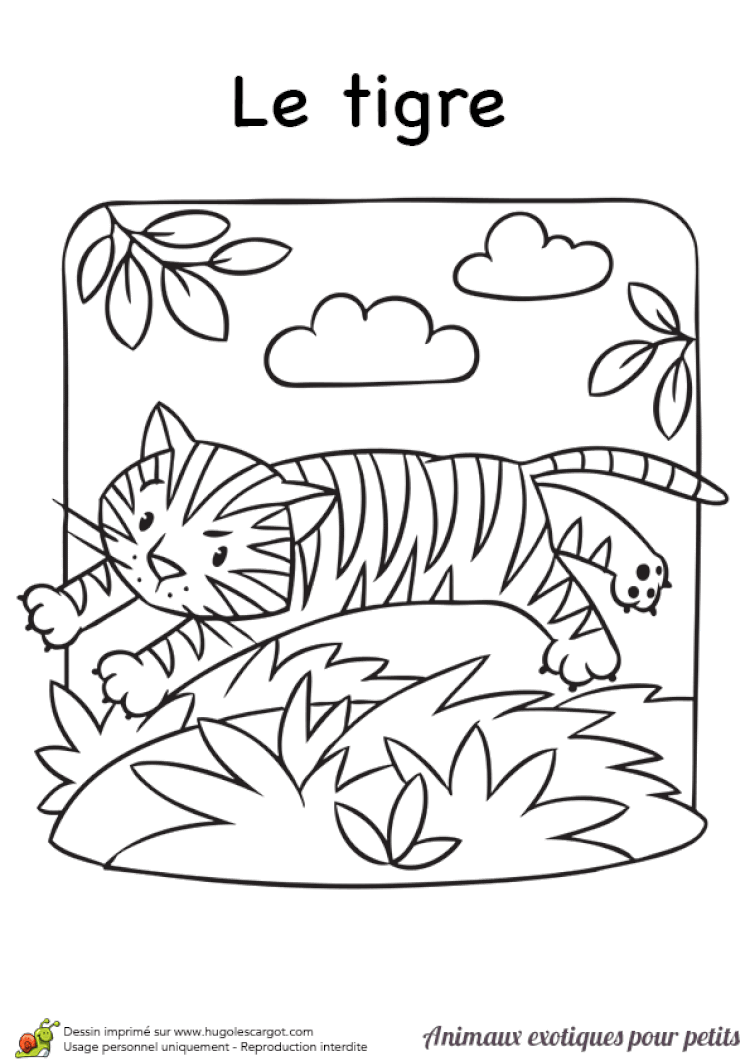 Coloriage Animaux En Voie De Disparition  Haut Coloriage HDImages et