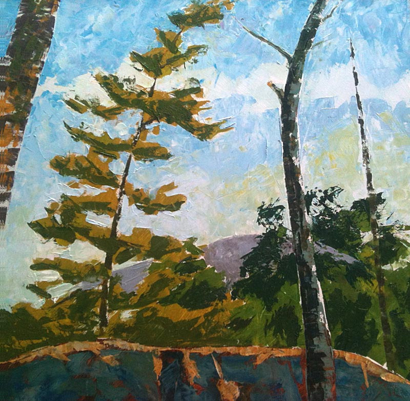 ViewToWillisvilleMountain