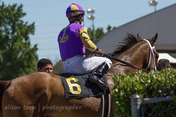 Race six, Sacramento card at the California State Fair