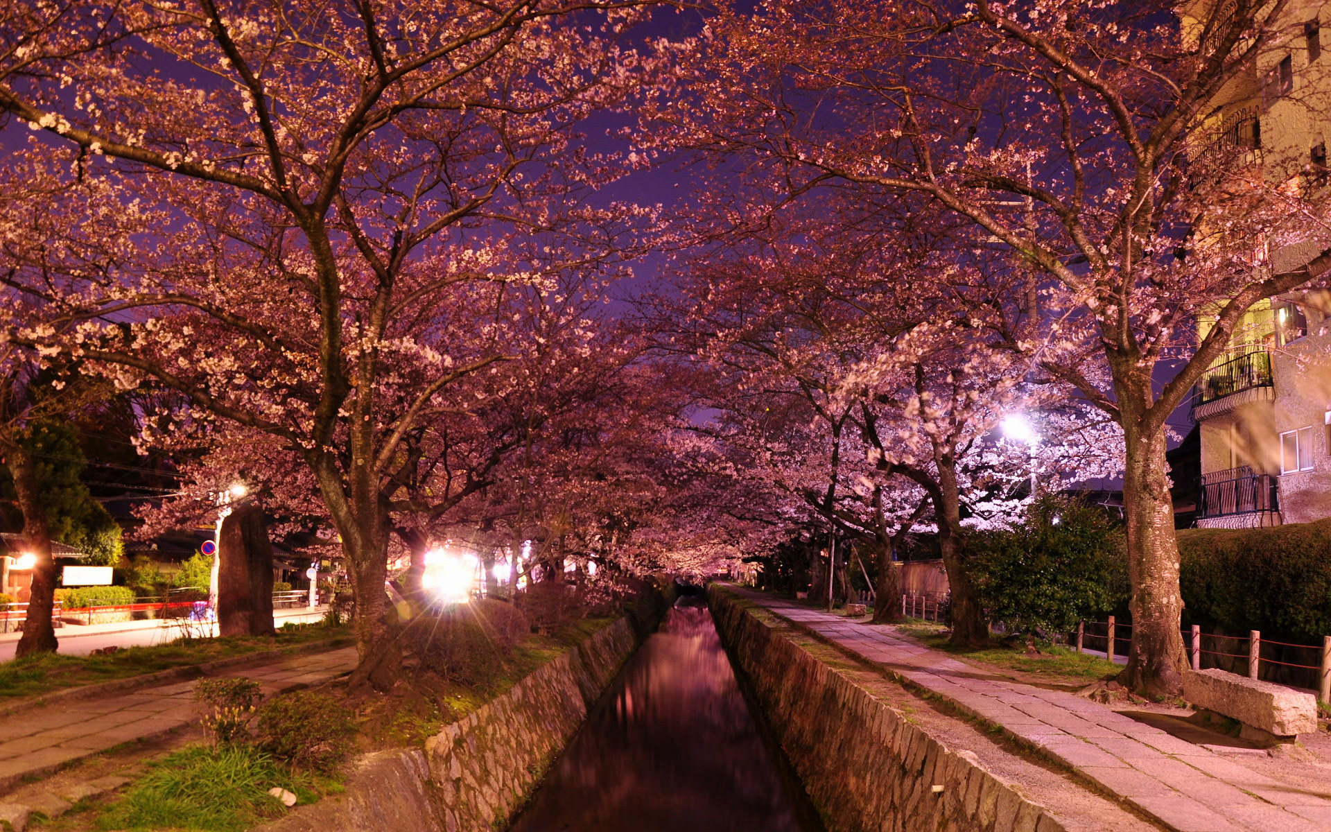 ユニーク京都 壁紙 Iphone 高画質 最高の花の画像