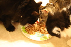 All three enjoying the 7 cake