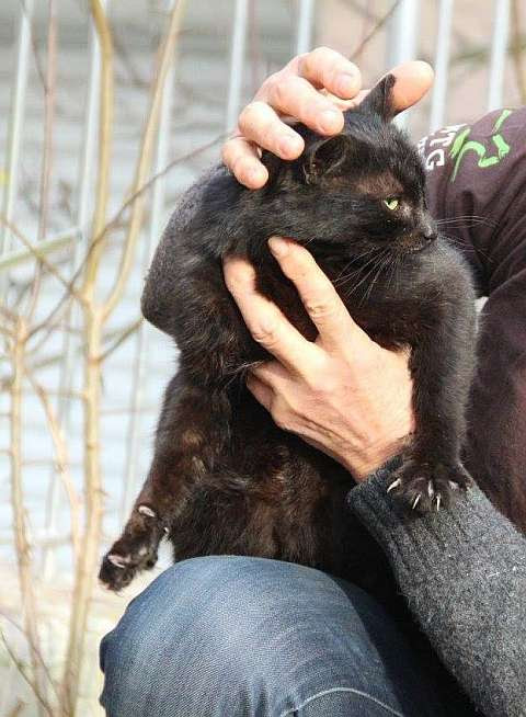 Bild