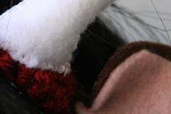 Teaser picture