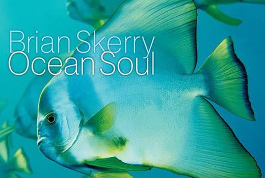 Brain Skerry Ocean Soul