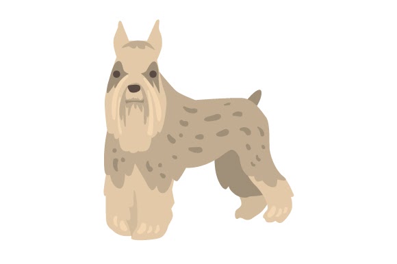 Download Schnauzer SVG File - Where To Find The Best Free SVG Files