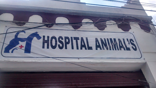 Hospital Animal's