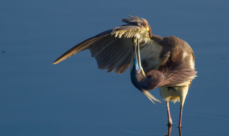 Photo & Video Sharing by SmugMug Photo & Video Sharing by SmugMug