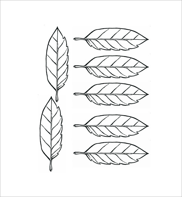 Free Printable Palm Leaf Template - 4 Best Palm Leaf Template Printable