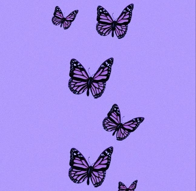 Butterfly Wallpaper Aesthetic Purple